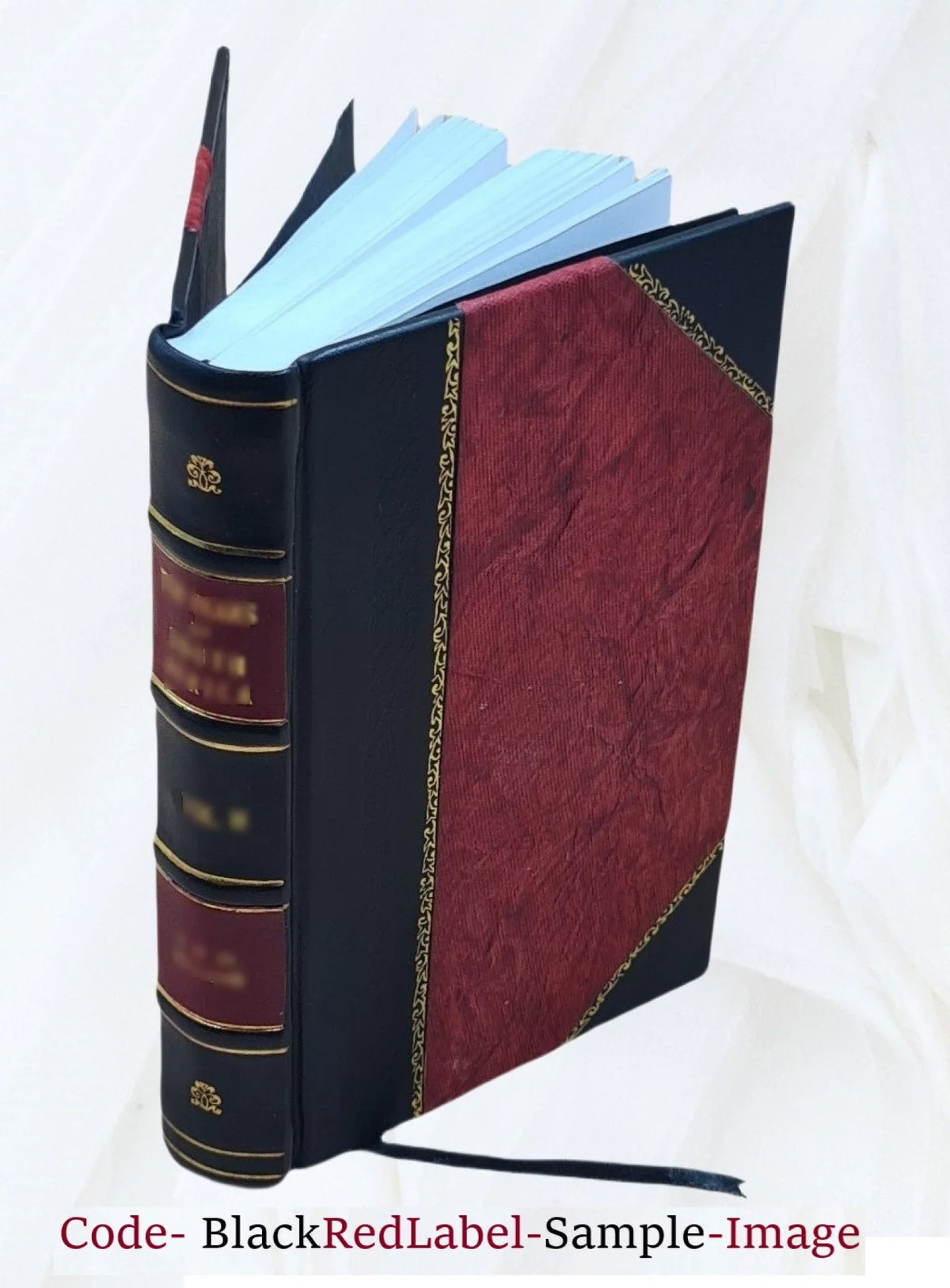 Funʹm yarid. Volume v.01 1917 [Leather Bound]