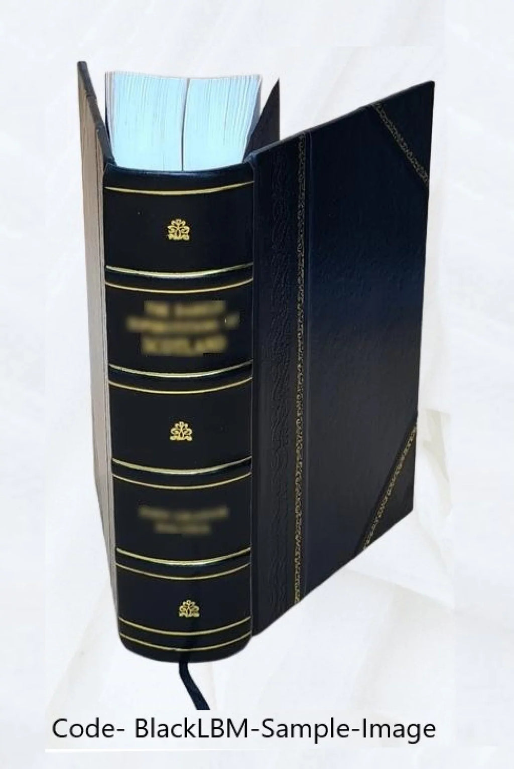 La prison d'Ã‰dimbourg / Walter Scott ; traduction de M.-L. Daffry de La Monnoye,... ; dessins de . H. Clerget, Ferdinandus, D. Maillart et Pellicer 1884 [Leather Bound]
